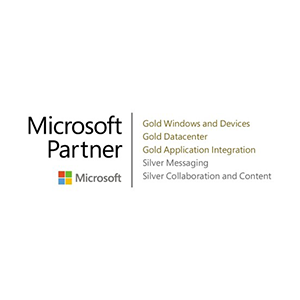 Microsoft Gold Partner​